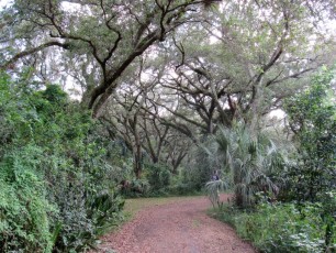 Le parc Tree Tops Park de Davie, en Floride