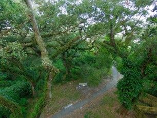 Le parc Tree Tops Park de Davie, en Floride