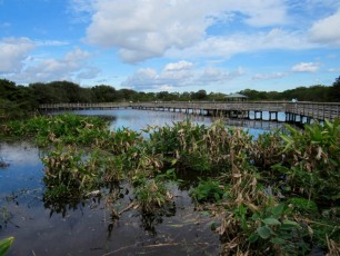 Wakodahatchee Wetlands à Delray Beach