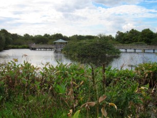 Wakodahatchee Wetlands à Delray Beach