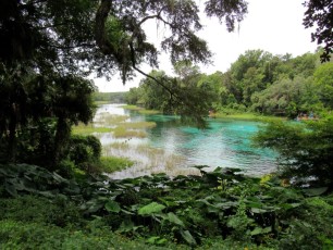 Rainbow-Springs-State-Park-Source-Ocala-Floride-1786