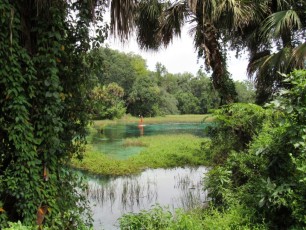 Rainbow Springs State Park, belle source de Floride