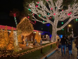 Decorations-de-Noel-Pompano-Beach-en-Floride-5893