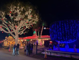 Decorations-de-Noel-Pompano-Beach-en-Floride-5905