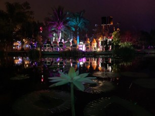 Les grandioses illuminations de Noël des Jardins Botaniques de Naples (Floride)