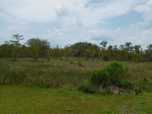Evergaldes : Kirby Storter Roadside Park