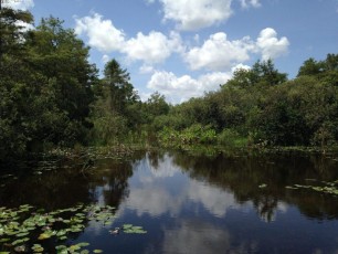 Loop Road -Everglades - Floride