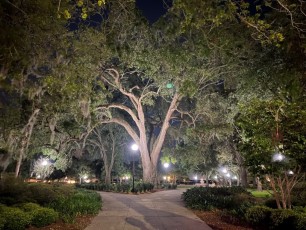 Memorial Park à Riverside, Jacksonville