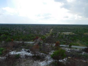 Jonathan Dickinson State Park - Jupiter - Floride - Forêt