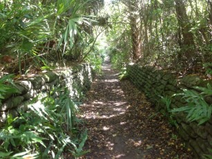 Floride