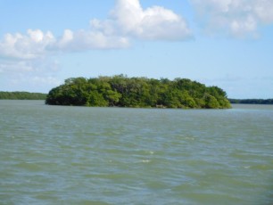 Key dans la Florida Bay à Flamingo -Everglades national Park)