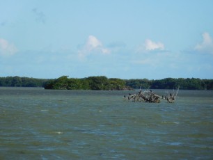 Florida Bay à Flamingo -Everglades national Park)