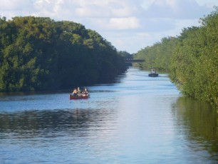 Rivière à Flamingo -Everglades national Park)