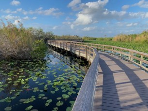 Paysage à Anhinga Trail (Everglades national Park)