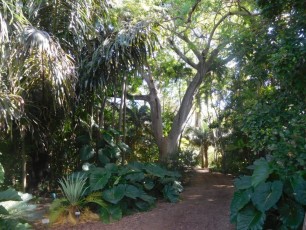 Fairchild Tropical Garden - Miami - Floride