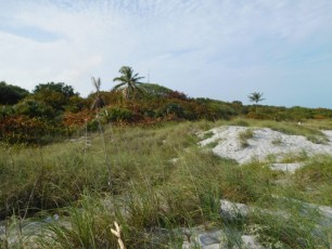 Plage du Bill Baggs Cape Florida State Park / Key Biscayne / Miami