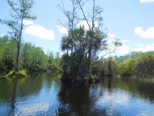 Riverbend Park / Jupiter / Floride