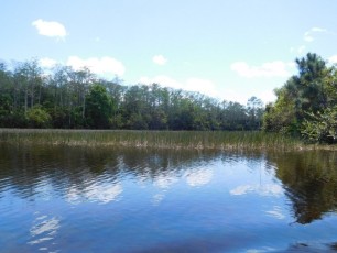Riverbend Park / Jupiter / Floride