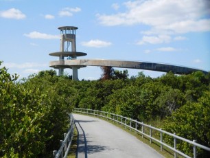 Tour d'observation de Shark Valley / Parc National des Everglades
