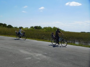 Vélo à Shark Valley / Parc National des Everglades