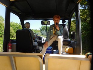 Tram à Shark Valley / Parc National des Everglades