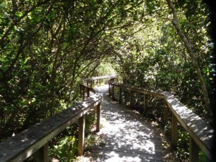 "Chemin des Bobcats" à Shark Valley / Parc National des Everglades