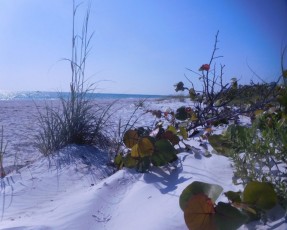 Plage de Lido Beach, sur l'île de Lido Key à Sarasota