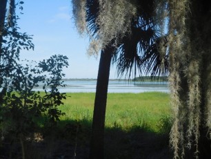 Myakka River State Park / Sarasota / Floride