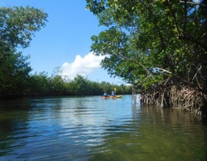 Kayak à Oleta River State Park / Miami Beach