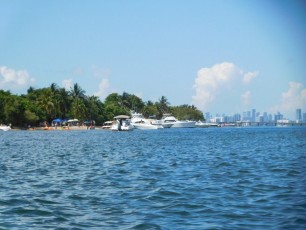 Sandspur Island / Miami Beach