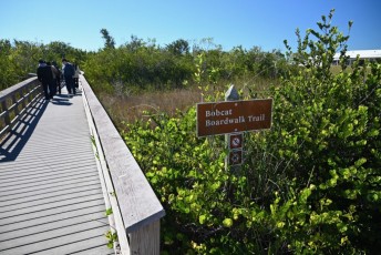 Shark Valley, un beau site des Everglades à visiter en tram ou à vélo !