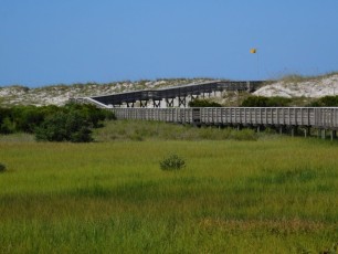 Dunes et plages d'Anastasia Island State Park (St Augustine)