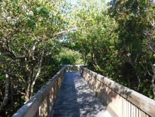 Parc de Weedon Island à St Petersburg, Floride