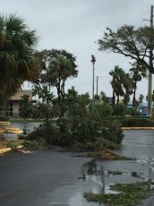 Photos de la station balnéaire de Cocoa Beach après l'ouragan Matthew