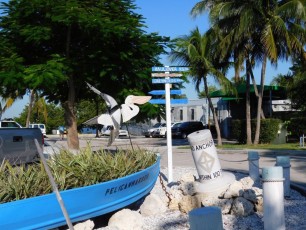 Pelican Harbor à Miami