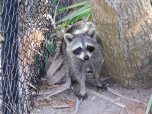 Green-Cay-Park-Boynton-Beach-2690