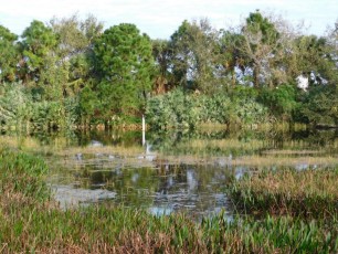 Green-Cay-Park-Boynton-Beach-2764