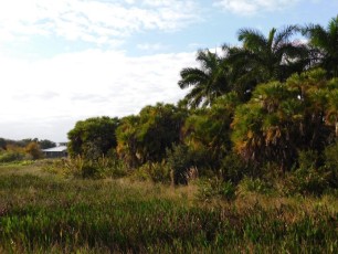 Green-Cay-Park-Boynton-Beach-2777