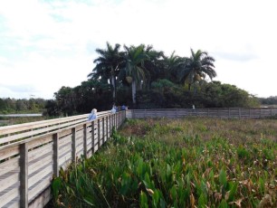 Green-Cay-Park-Boynton-Beach-2811