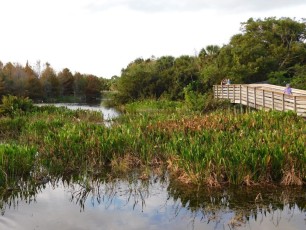 Green-Cay-Park-Boynton-Beach-2891