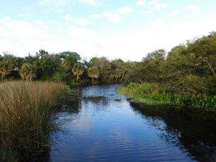 Green-Cay-Park-Boynton-Beach-2920