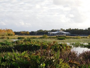 Green-Cay-Park-Boynton-Beach-2994