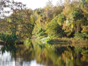 Green-Cay-Park-Boynton-Beach-2998