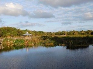 Green-Cay-Park-Boynton-Beach-3013