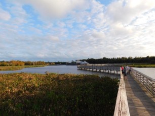 Green-Cay-Park-Boynton-Beach-3023