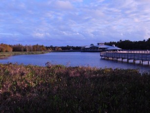 Green-Cay-Park-Boynton-Beach-3024