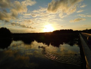 Green-Cay-Park-Boynton-Beach-3044
