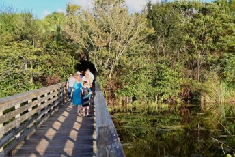 Green-cay-wetlands-parc-boynton-beach-Floride-3400