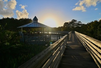 Green-cay-wetlands-parc-boynton-beach-Floride-3456