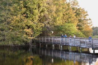 Green-cay-wetlands-parc-boynton-beach-Floride-3550